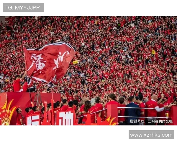 从小球场到国际舞台足球明星成长背后的艰辛与坚持